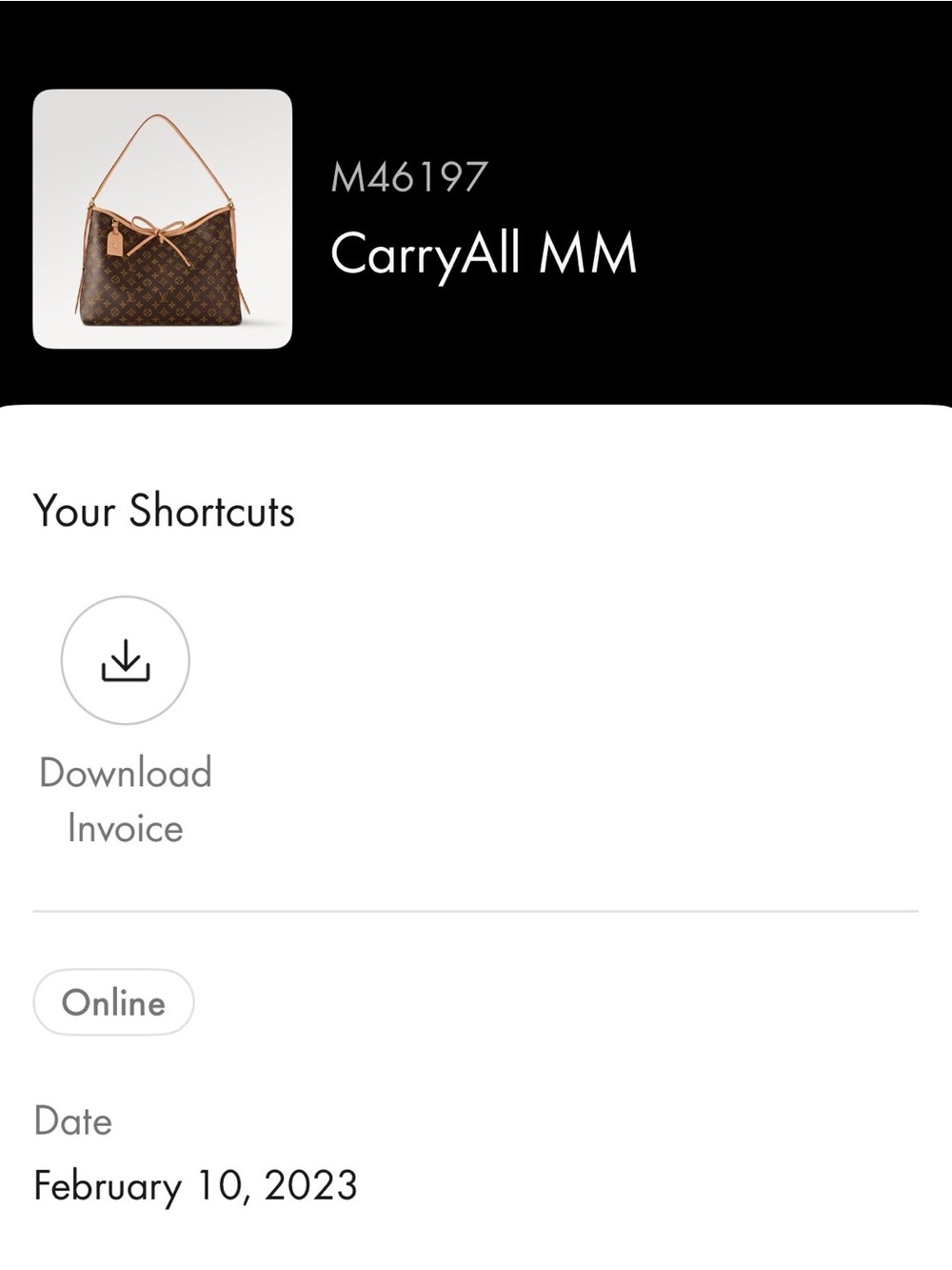 Louis Vuitton/ Monogram/Carry All MM Bag with Natural Vachetta Trim/NIB! NEW! - Picture 6 of 15